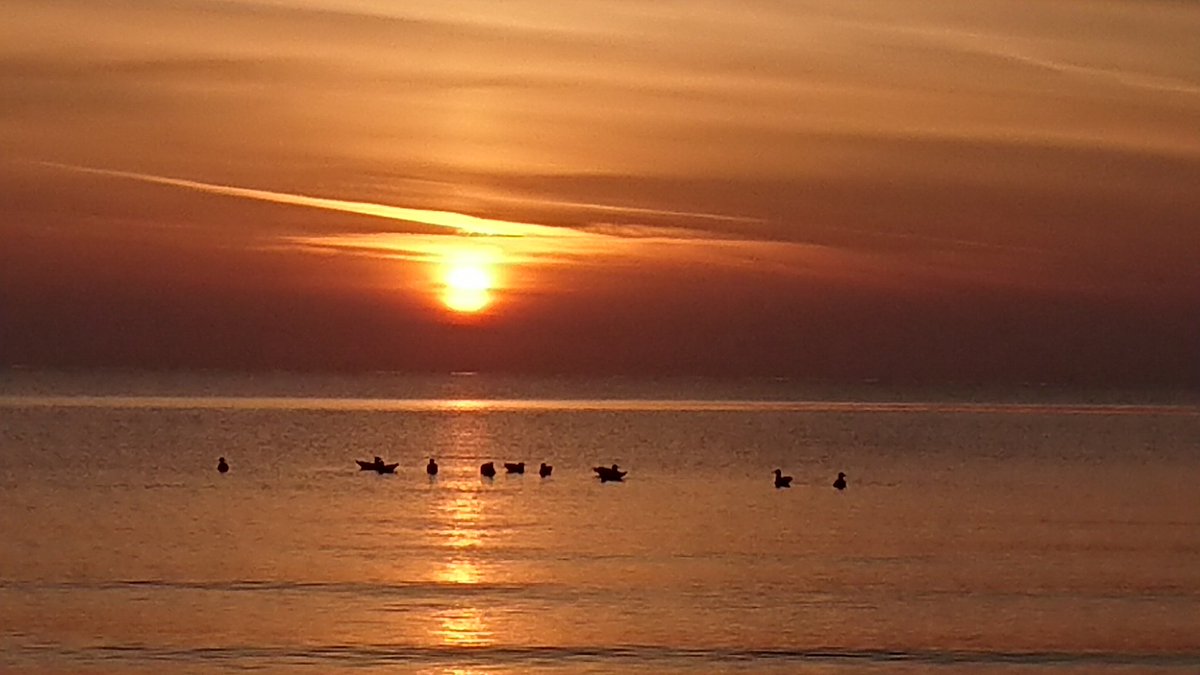 TJTToTaL's tweet photo. #TravelTuesdayChallenge

Nothing beats a sunrise on the coast of Ireland https://t.co/DMg0tMGofV