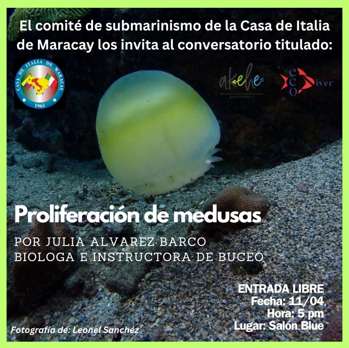 El Comité de Submarinismo Ecodiver de la Casa de Italia de Maracay Te invita el jueves 11 de abril a las 5:00 pm al Conversatorio dictado por...
Julia Alvarez Barco Bióloga e Instructora de Buceo.
Fotografia por...
Leonel Sanchez Mora.