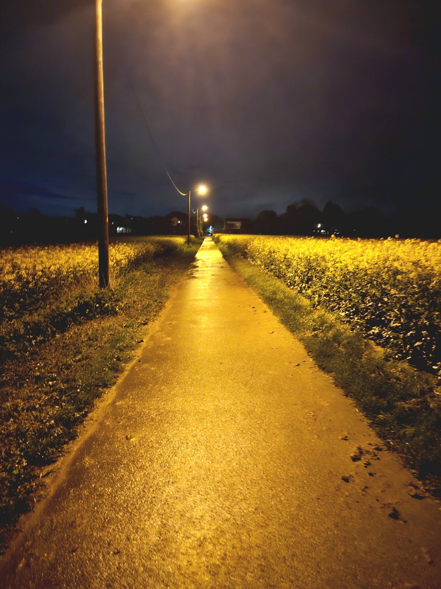 Going for a walk at night feels so perfect.