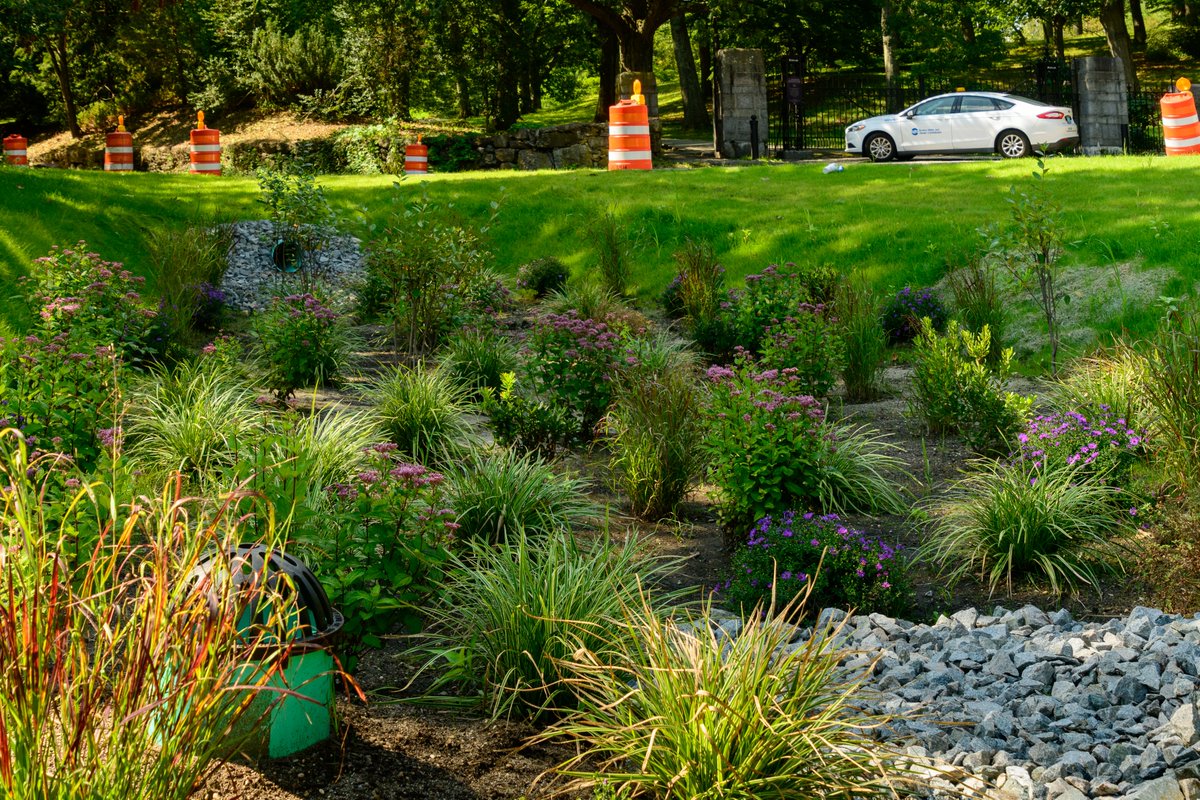 #greeninfrastructure helps #Boston both mitigate and adapt to climate change.

GI reduces flooding that comes with more frequent and intense storms; and, trees and other vegetated features help sequester carbon and reduce rising temperatures.