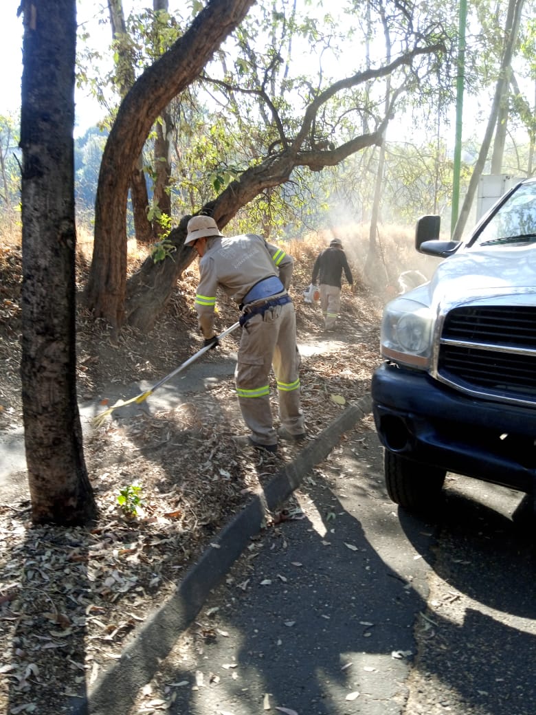 ¡CALLES LIMPIAS Y SEGURAS! 🏘 Para prevenir accidentes, nuestro equipo realizó barrido y papeleo, podó el pasto y levantó desechos en la calle Bosque de Encinos, de la colonia Bosques de las Lomas. 🏕 ¡Disfruta de tu alcaldía libre de basura y de preocupaciones! 😄