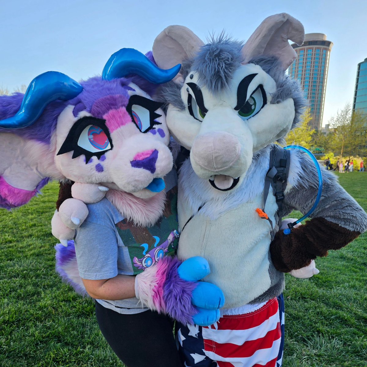 FurryChi tweet picture