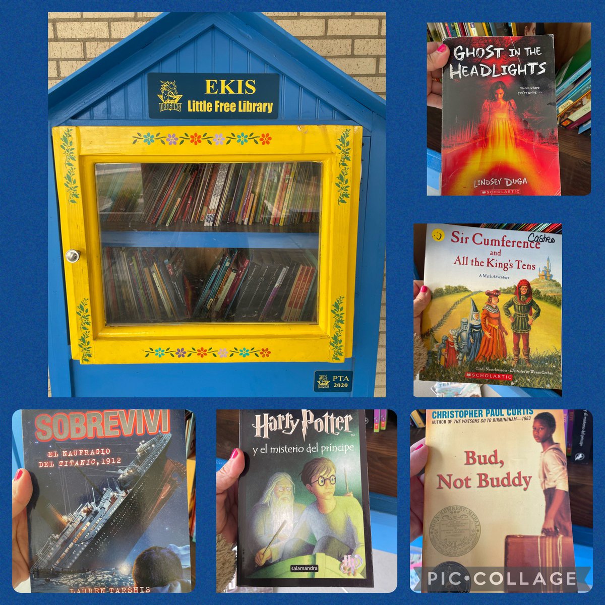 Discover treasures between the pages! Swing by our little free library to discover your favorite new book! @EastwoodKnolls 🐉📚