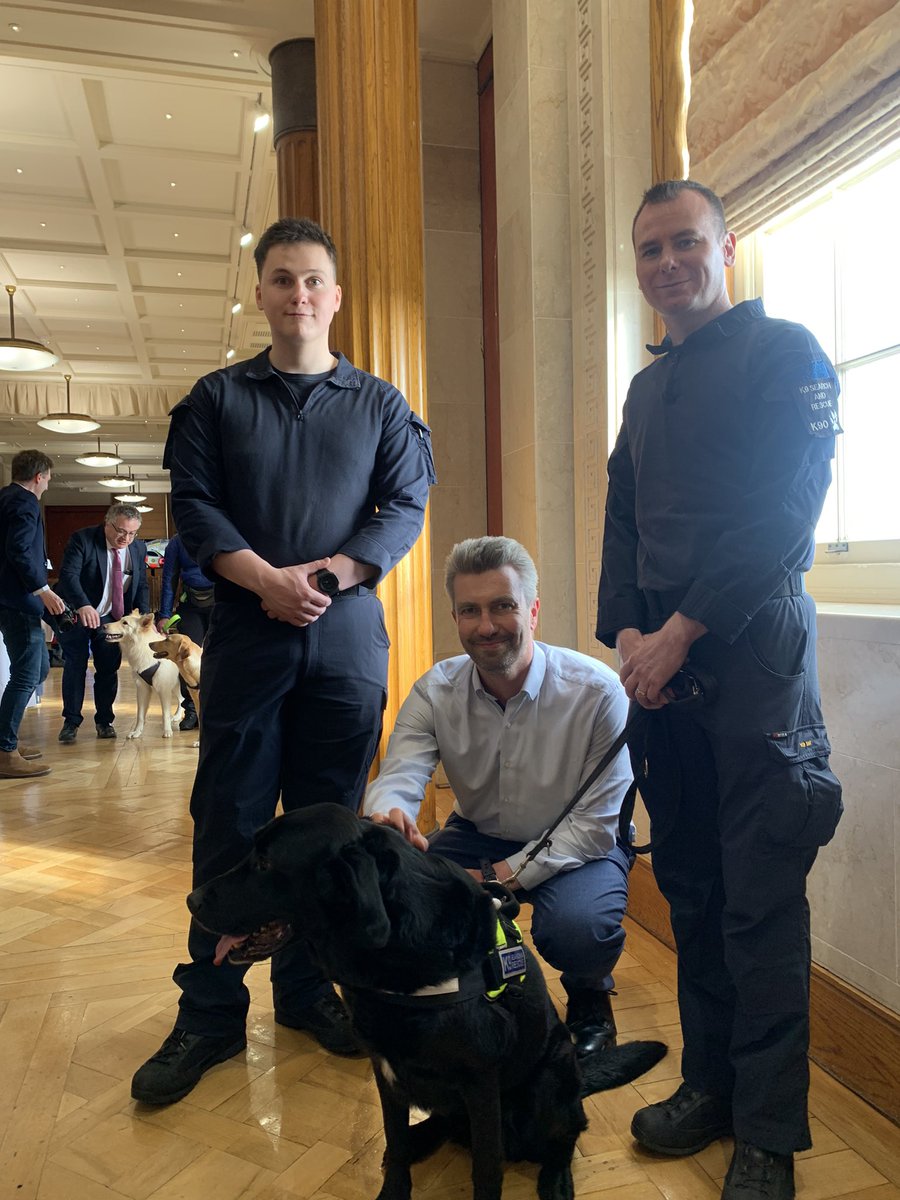 It was a pleasure to meet some of the volunteers and dogs from @k9sarni today at Stormont. They do amazing work across NI and beyond. Max (pictured below) was recently working in Turkey following an earthquake. Website- k9searchandrescueni.org