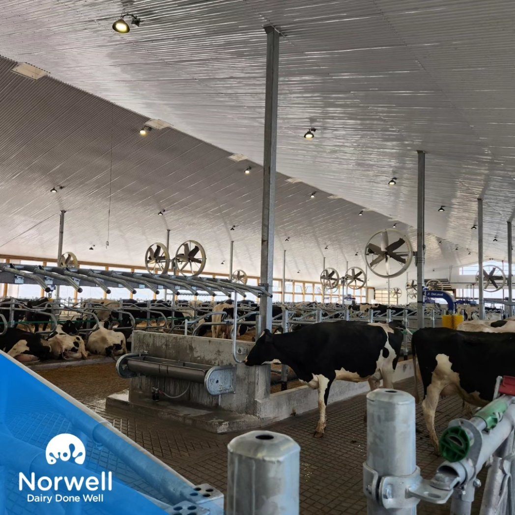 Congratulations to Essalea Farms, the Kloosterman Family, on the start up of their 2 <a href="/DeLavalCanada/">DeLaval Canada</a> V310 units with Milk 1st cow flow and Herd Navigator! Thank you for choosing Norwell #DairyDoneWell #Ontag #Farming <a href="/DeLaval/">DeLaval</a>