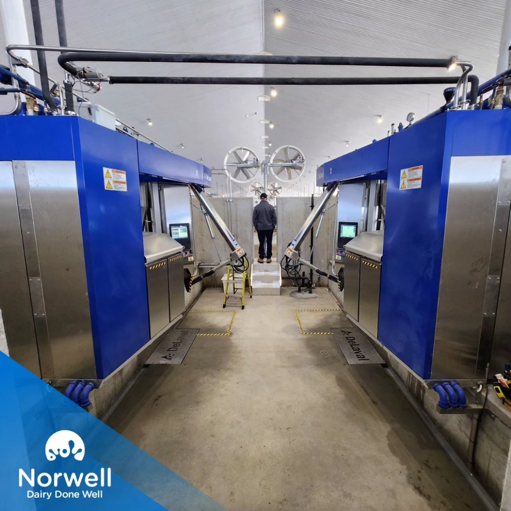 Norwell Dairy tweet media