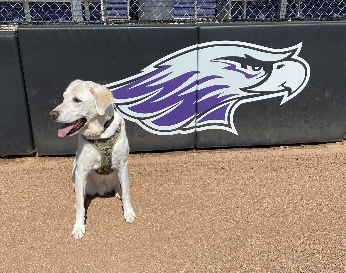 A cute &amp; VERY popular visitor at practice today!!   #Clark