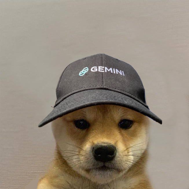 wen spot ?! @Gemini $WIF