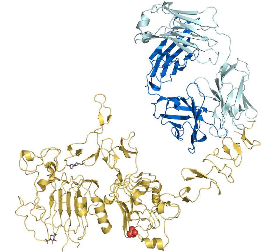 Fam-#trastuzumab deruxtecan-nxki has received #accelerated #FDA approval for unresectable/metastastic #HER2-positive solid tumors. 

Read about the 3 #DESTINY trials that led to its approval and insights from board member Joseph Kalis, PharmD here! oncdata.com/news/fam-trast…