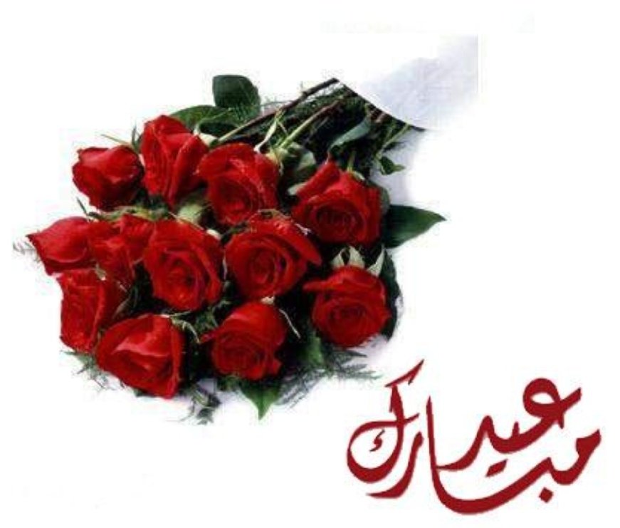 <a href="/shyl1483465/">نبض القصيد</a> عيدكم سعادة وسعادة وسعادة 
وكل عام وانتم واسرتكم الكريمة بخير