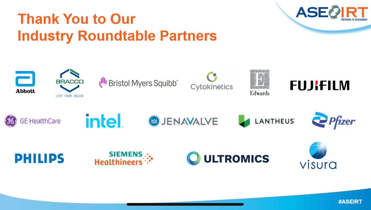 As the chair of the @ASE360 Industry Roundtable (IRT) committee, I am grateful to my team & @SrkingCorporate as we recognize our 17 wonderful partners for 2024, the largest number of IRT Partners in the program’s 25-year history. Please learn more here: bit.ly/3xnokVQ