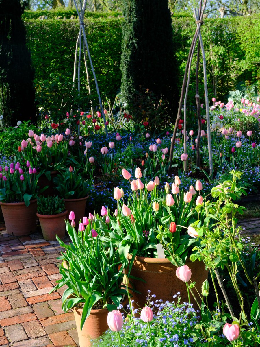 In the Cottage garden