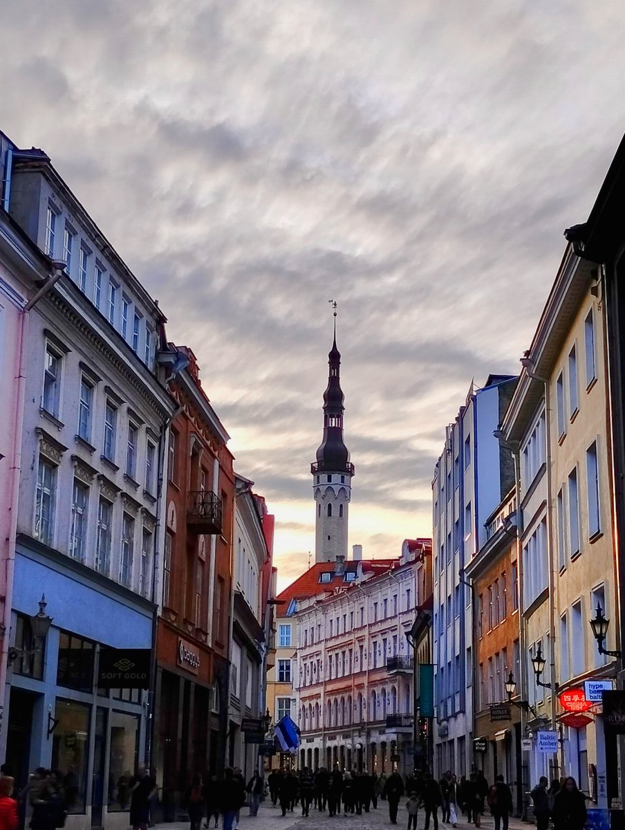 Spring knocking on the door in Tallinn 🇪🇪