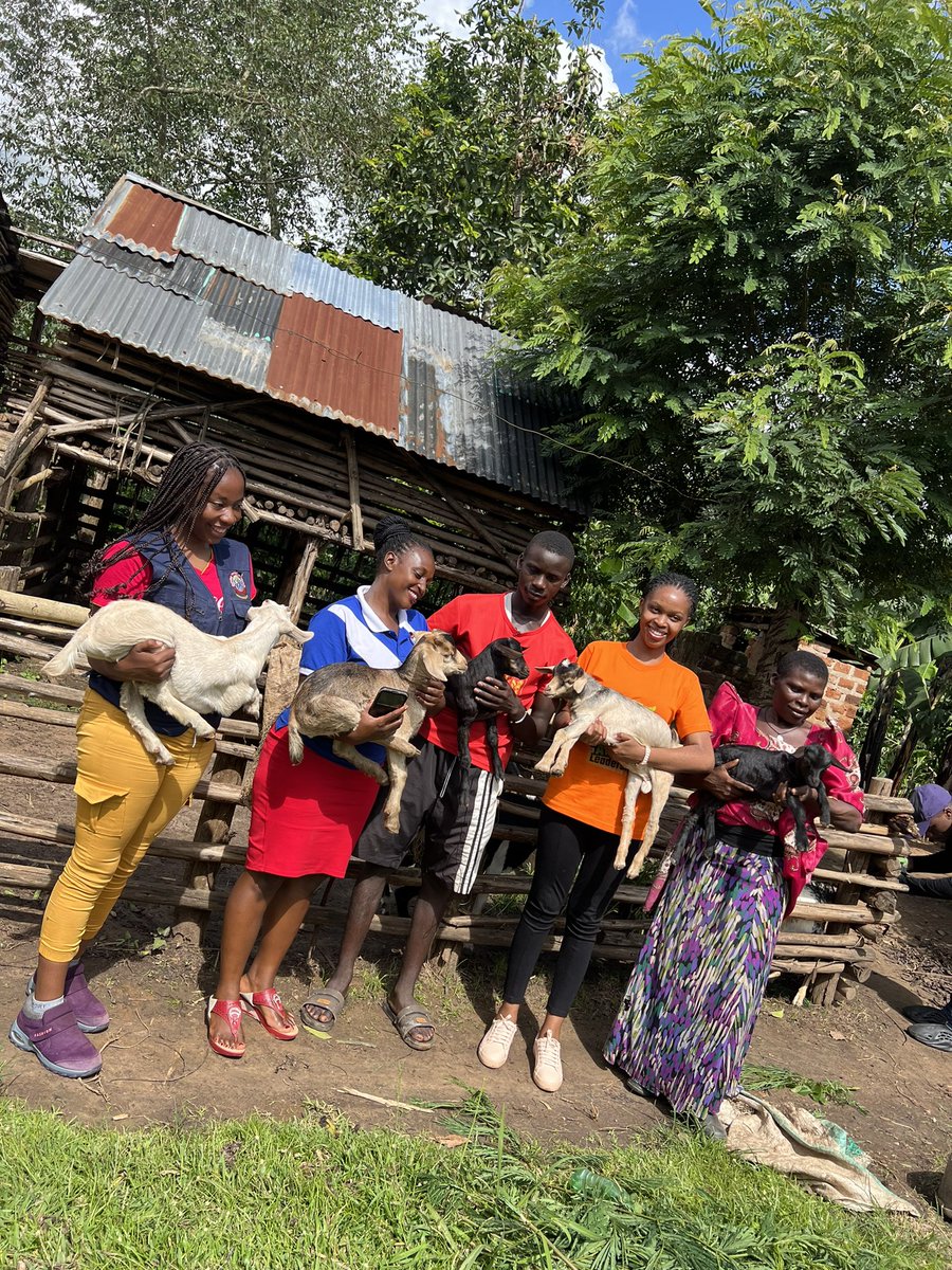 a herd of goats. These creatures, more than mere livestock, are the architects of his education, courtesy of the #GoatProject. With each day, Mukisa's story unfolds, a living emblem of the change championed by @RaisingTeensUg2 #RTUAt10