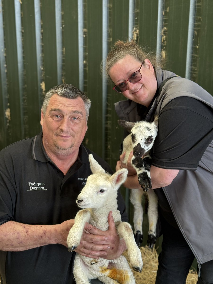ECCA_Edenbridge's tweet photo. What a start to our fundraising, over £2000 raised, including £1500 from Nick and Helen, owners of Hever’s Newland Farm thanks to last weekends lambing event. 
We can therefore announce that the 2024 Edenbridge Community Christmas Association event is ON - November 30th! https://t.co/jcGwC3hLrD