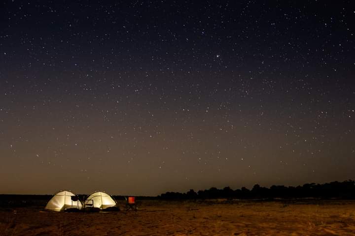 Good news from Gonarezhou National Park & Zim tourism. In 2023, Gonarezhou National Park saw a 21% increase in tourist numbers, with almost 11 000 people visiting the park, compared to 8 993 in 2022. The highest number of visitors ever recorded for the park. 📸: Gonarezhou