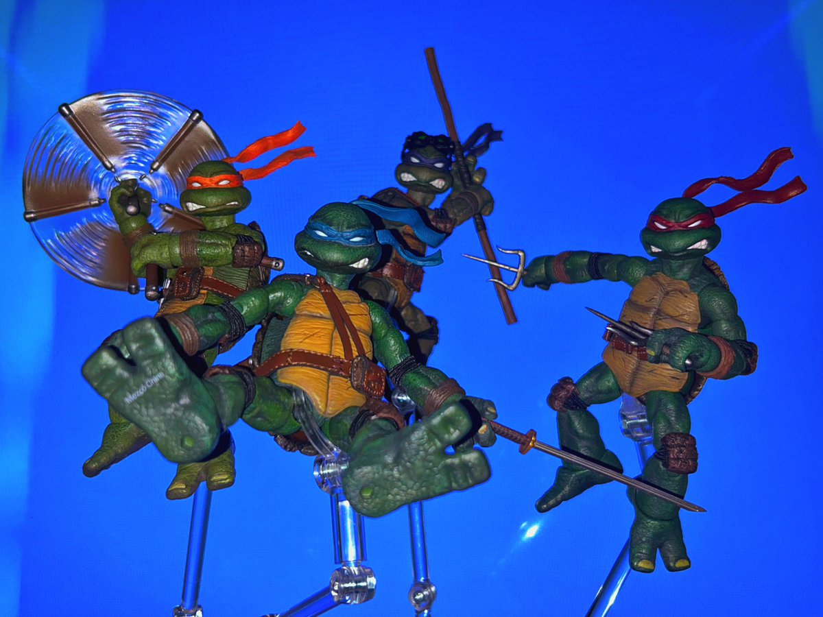 the mezco turtles are basically mirage + 2012 & i love it