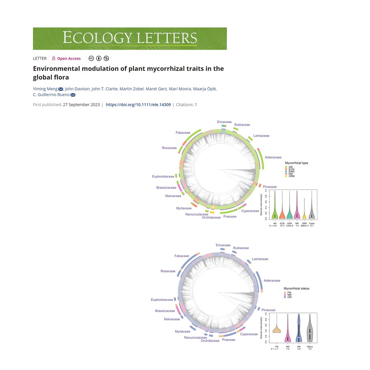 📣What we are reading📣 César Marín @cesarmarin203 interviews Yiming Ment @Meng_Yi_Ming (PhD student @unitartu) about her Ecology Letters @Ecology_Letters article entitled: “Environmental modulation of plant mycorrhizal traits in the global flora” 👇 southmycorrhizas.org/reading/decemb…