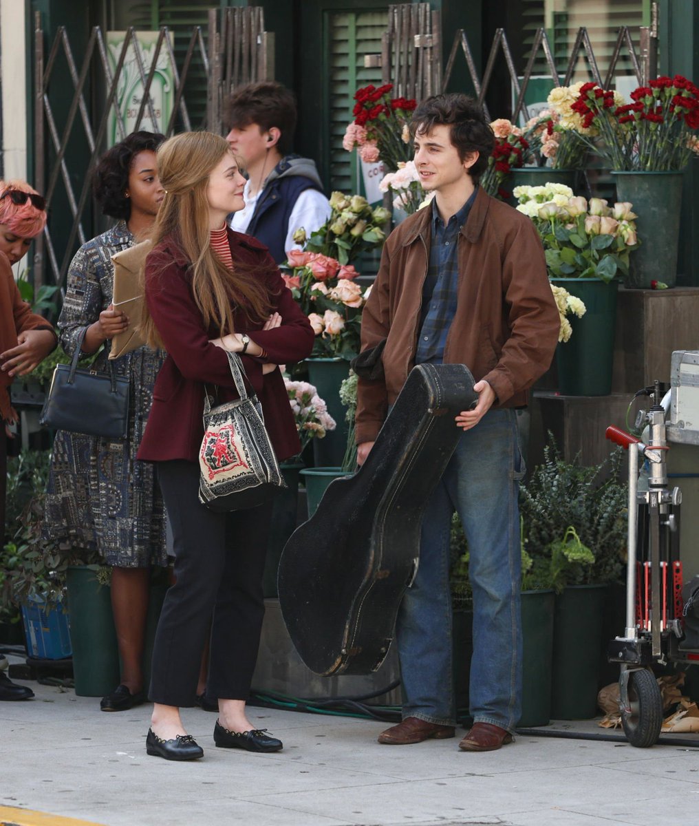 hourly timothée ✩彡 tweet media