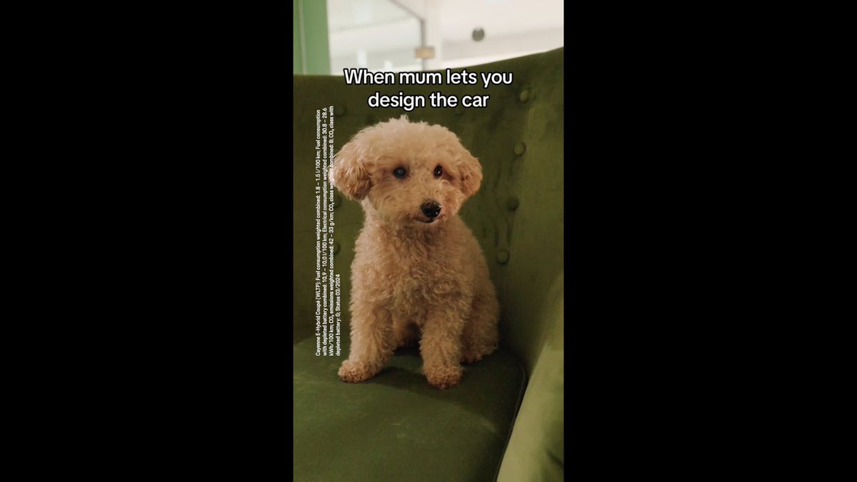 evshift's tweet image. The #Pawfect #Porsche for your #Puppy ##Shorts
 
evshift.com/275980/the-paw…
 
#ElectricCars #ElectricVehicles #EV