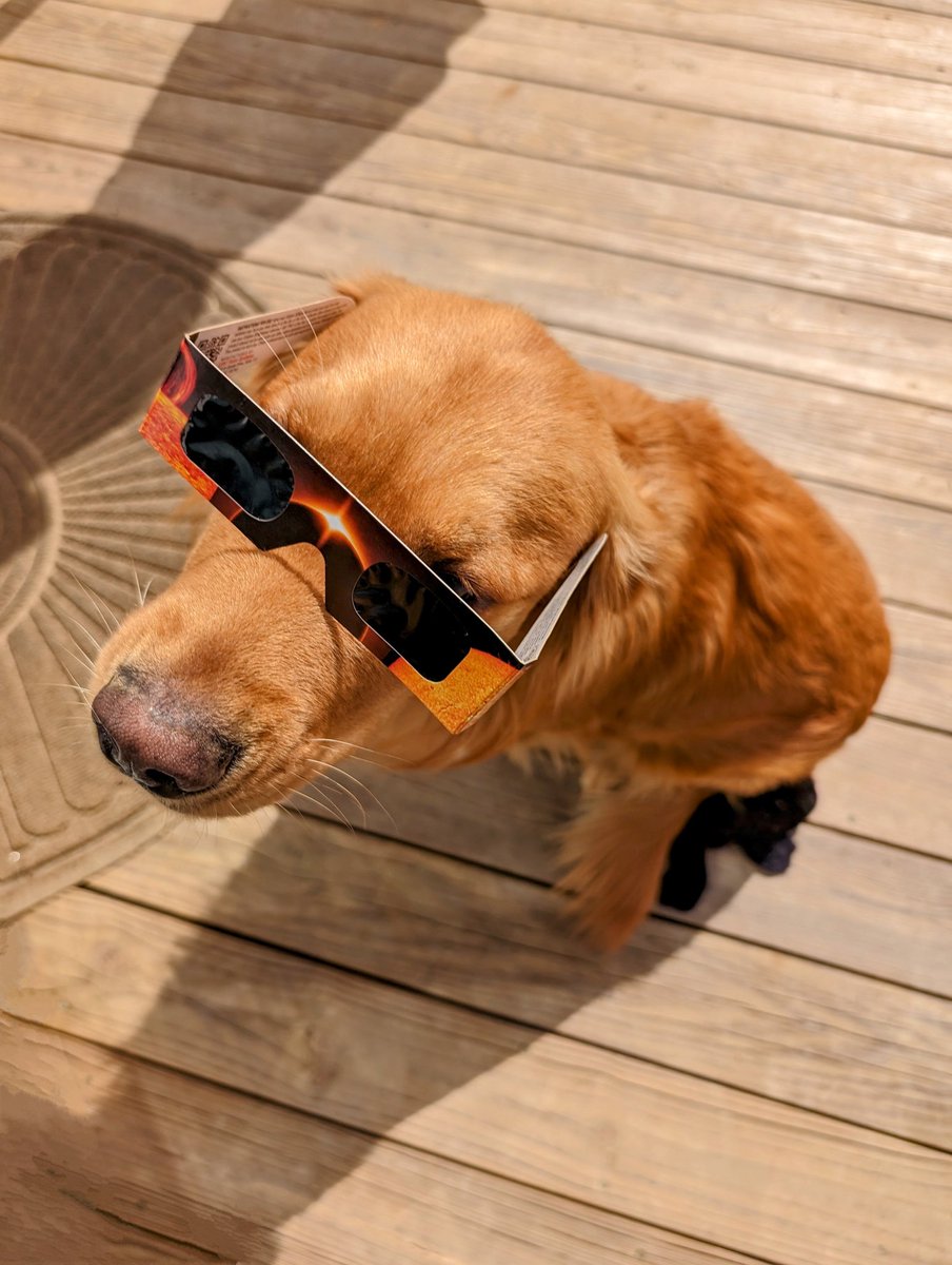 Don't forget to nominate your favorite games and PODCASTS for this year's Golden Geek Awards!!!

boardgamegeek.com/geekawards/boa…