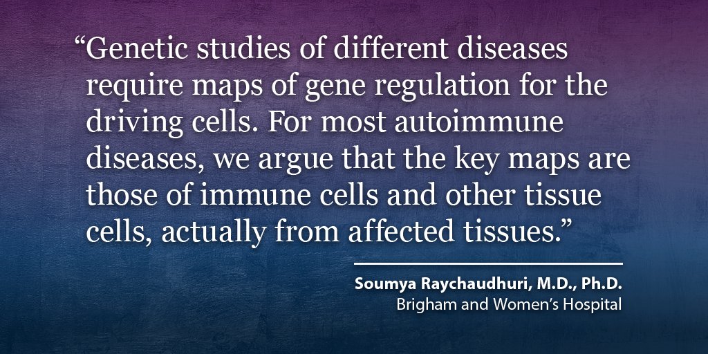 #NIAMSfunded news:  A @BrighamWomens-led team developed a new way to map connections between genes & their regulators and show how this can be used to interpret genetic data from rheumatoid arthritis & other autoimmune diseases. Abstract via @NatureGenet: nature.com/articles/s4158…