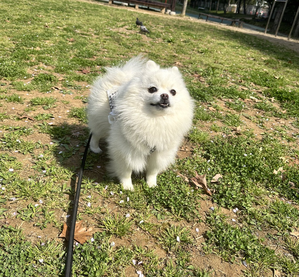 퍼스널컬러 그린 아닐가ㅜ 넘 청량 하구요..?