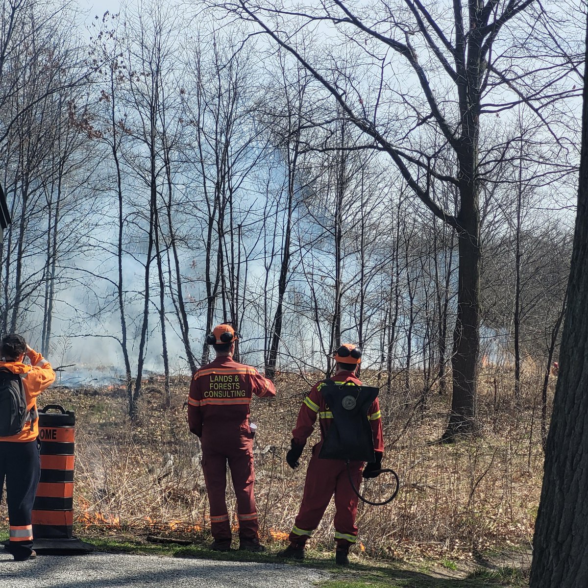 Our CEO, Jess Kaknevicius, attended today's prescribed burn at High Park. Organized by @cityoftoronto, Indigenous Land Stewardship Circle & @landsandforests, it beautifully weaved Indigenous cultural ceremony & western science to support regeneration & connect with the earth.