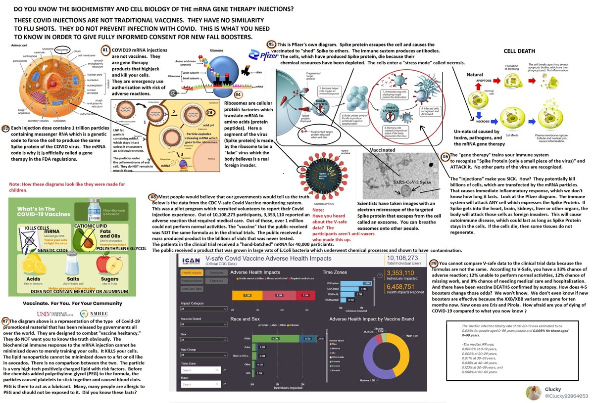 @AshleyGWinter I am sorry. My father was a urologist. All his grandchildren are medical doctors. I am ex-pharma, cell biology. I BEG you to read every sentence of the diagram that I made for my followers. The mRNA vaccines are NOT biologically safe for many reasons. We didn't take them.