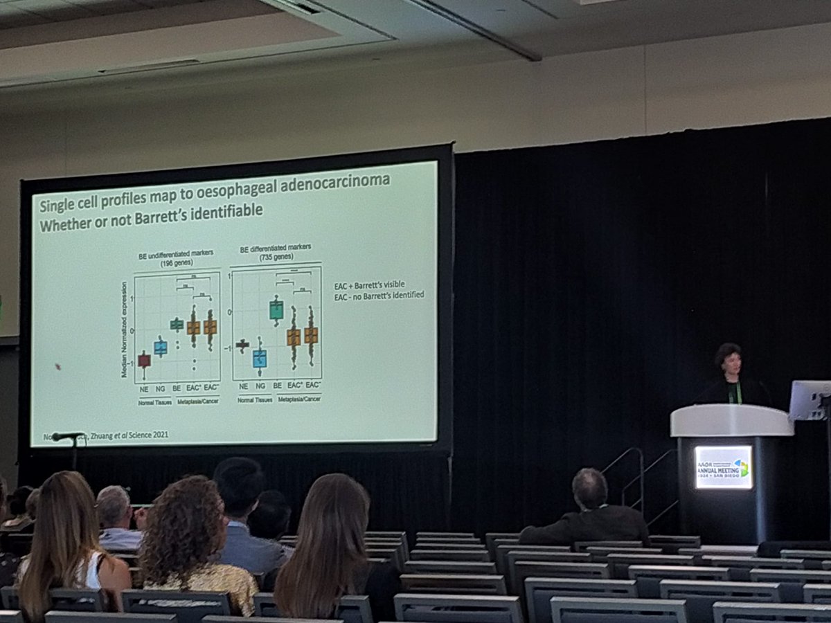 💡Rebecca Fitzgerald shares insights about the evolutionary trajectories of Barrett’s to intercept #OesophagealCancer & highlights the BEST4 trial to develop evidence for national screening programme.

@RFitzgerald_lab | @EarlyCancerCam | @CytedHealth | #AACR24 (AB)
