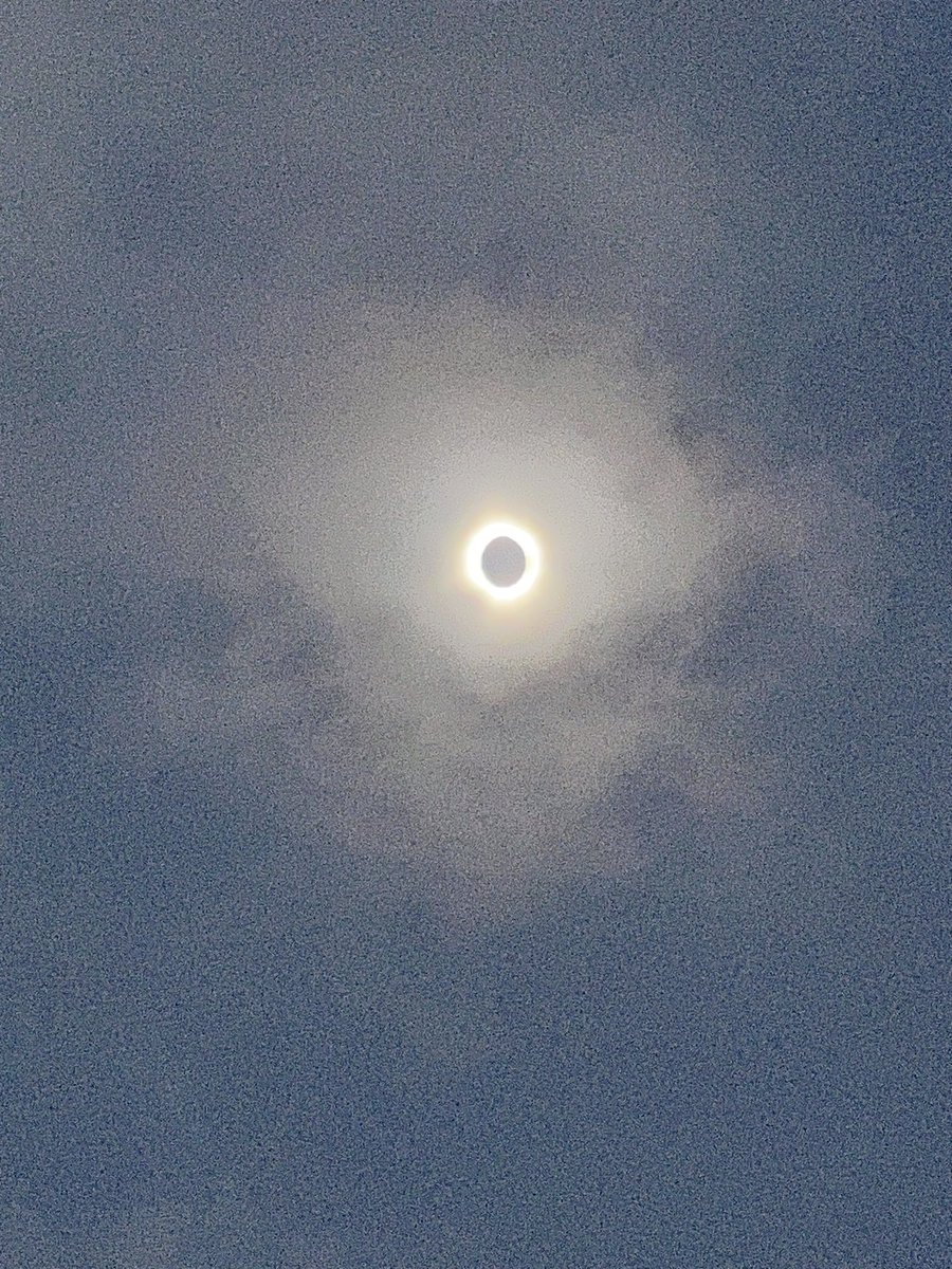 Andrea Estrada tweet media