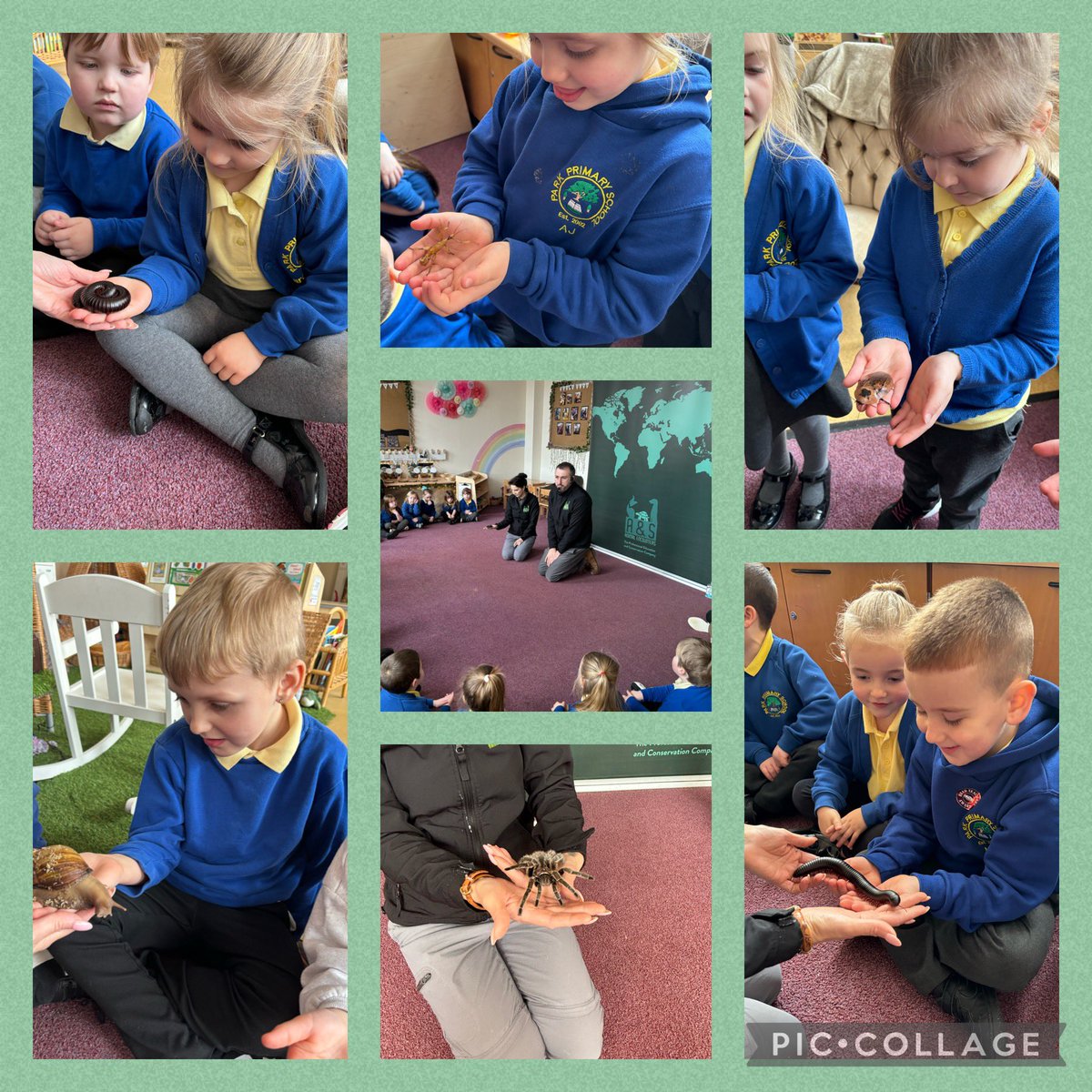 Mrs Usher Reception tweet media