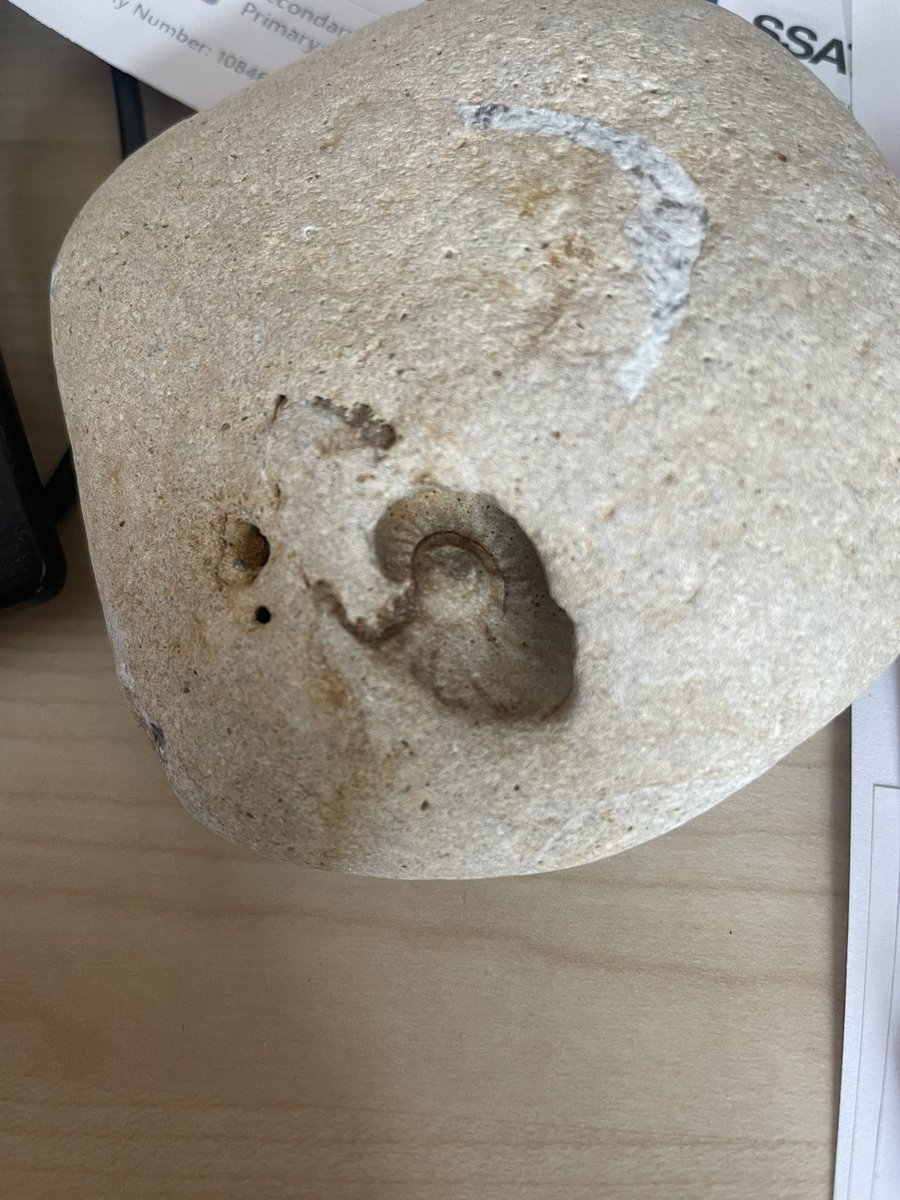 Mrs Abley tweet media