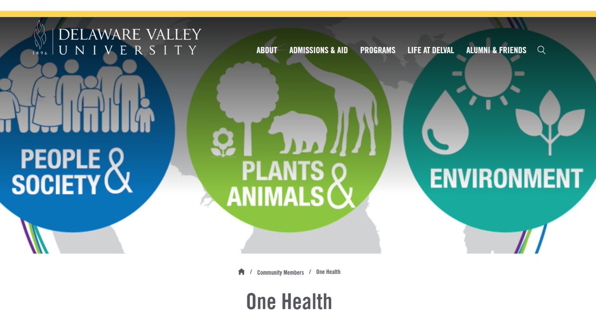 TOMORROW! The Delaware Valley University One Health seminar/webinar series presents Dr. Rachel Bezner Kerr (@rbeznerkerr), Cornell University, speaking on 'Agroecological Approaches to Sustainable Food Transitions' on Wed., Apr. 10, 6:00 p.m. To register: tinyurl.com/2p99bde7