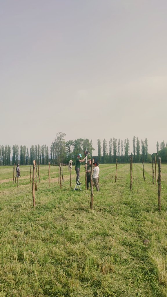 CarolinaPRIN tweet media