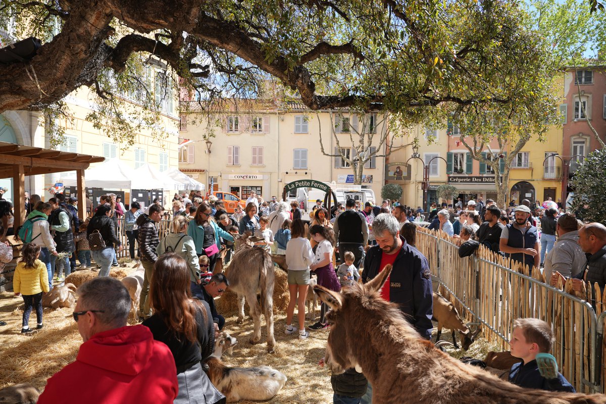 🌳@VilleDeFrejus 100% nature les 13 et 14/04🌿 Un RDV qui mêle authenticité, 5 sens et art de vivre dans le centre historique ! 🤝@VarTourisme soutient cet événement et y participe activement : bons plans, conseils et adresses Réseau ➕d'infos ici : urlz.fr/qdjX