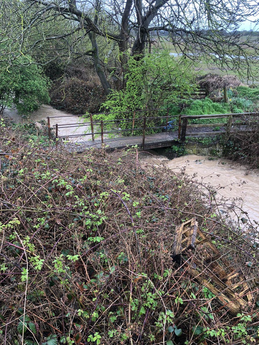 SpanielsSuper's tweet photo. There’s a bridge over the stream which runs through our garden, leading to the fields behind our house
The bridge is usually about 8 feet above the water…….
Not today 😮☔️
The fields are totally waterlogged & it’s still raining 🌧️
#TimeToBuildAnArk https://t.co/oAOmnhHLfL