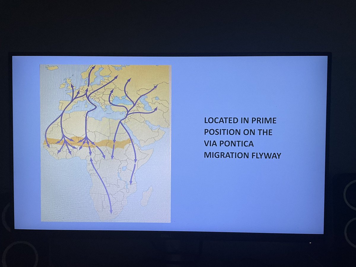 At the narrow point of the VIA PONTICA flyway, important for raptors, Pelicans, Storks, waders and passerines both breeding and migratory 4 #BOU2024 #Break1 #ornithology