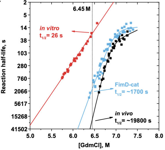 Check out rdcu.be/dD7C6. FimD is needed for type 1 pili to assemble to their most stable quaternary structure. Thanks to all who were involved <a href="/DawidZyla/">Dawid Zyla</a>, Thomas Wiegand, Paul Bachmann, <a href="/Rafal_Zdanowicz/">Rafał Zdanowicz</a>, Christoph Giese, Beat Meier, <a href="/GabrielWaksman/">Gabriel Waksman</a> &amp; <a href="/Glockshuber_lab/">Glockshuber group</a>