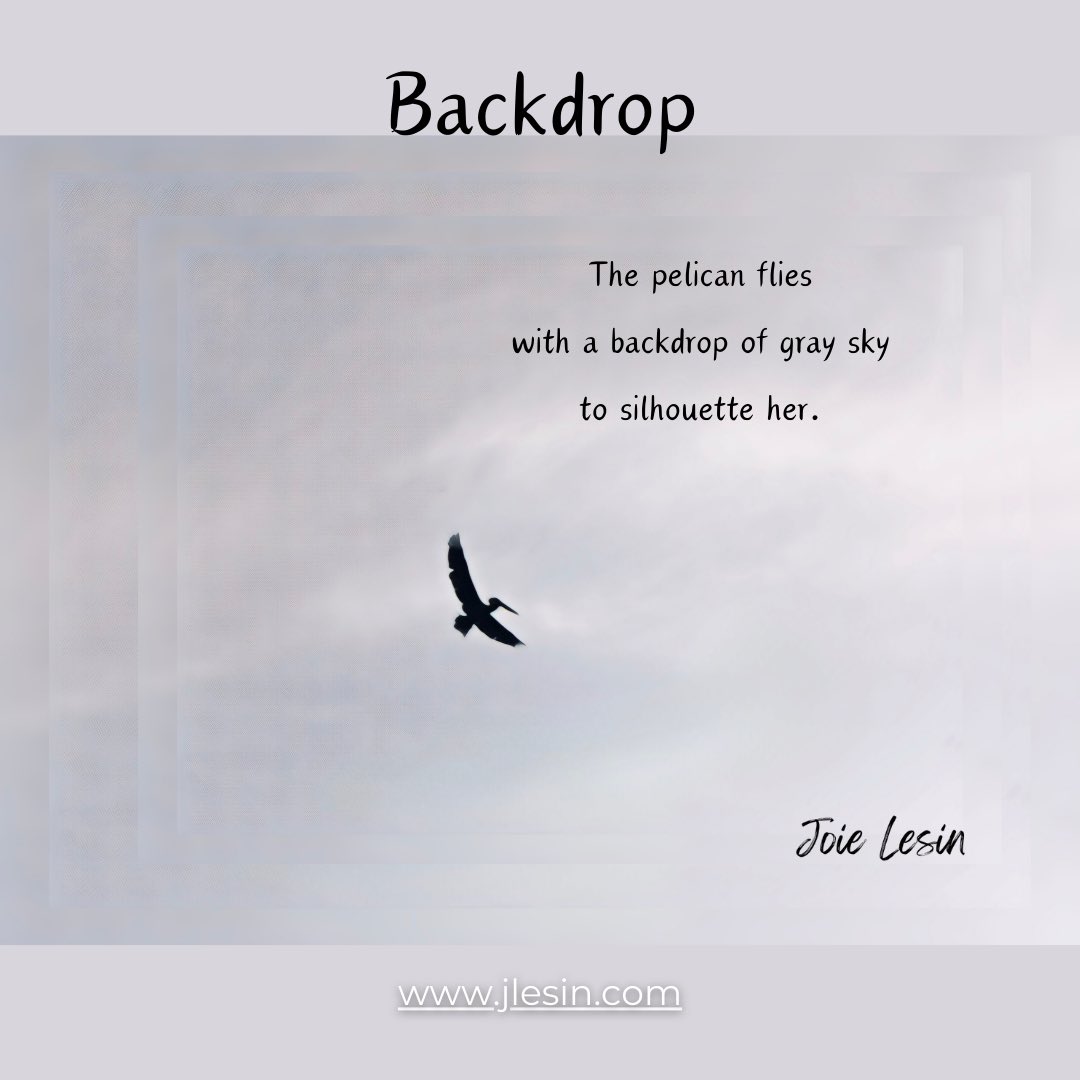 Backdrop

The pelican flies
with a backdrop of gray sky
to silhouette her.
               ~Joie Lesin

#haiku #haikupoetry #haikuphotography #haikipoem #photooftheday #joielesin #somethinglikepoetry #verse #poetry #pelican