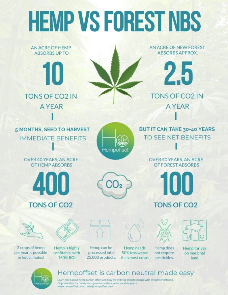 Did you know that #hemp can help combat climate change? 🌱 Hemp absorbs more CO2 per hectare than any forest or commercial crop, making it a powerful ally in our fight against global warming 🤝🌍 #HempOffset #EcoFriendly #GreenFuture