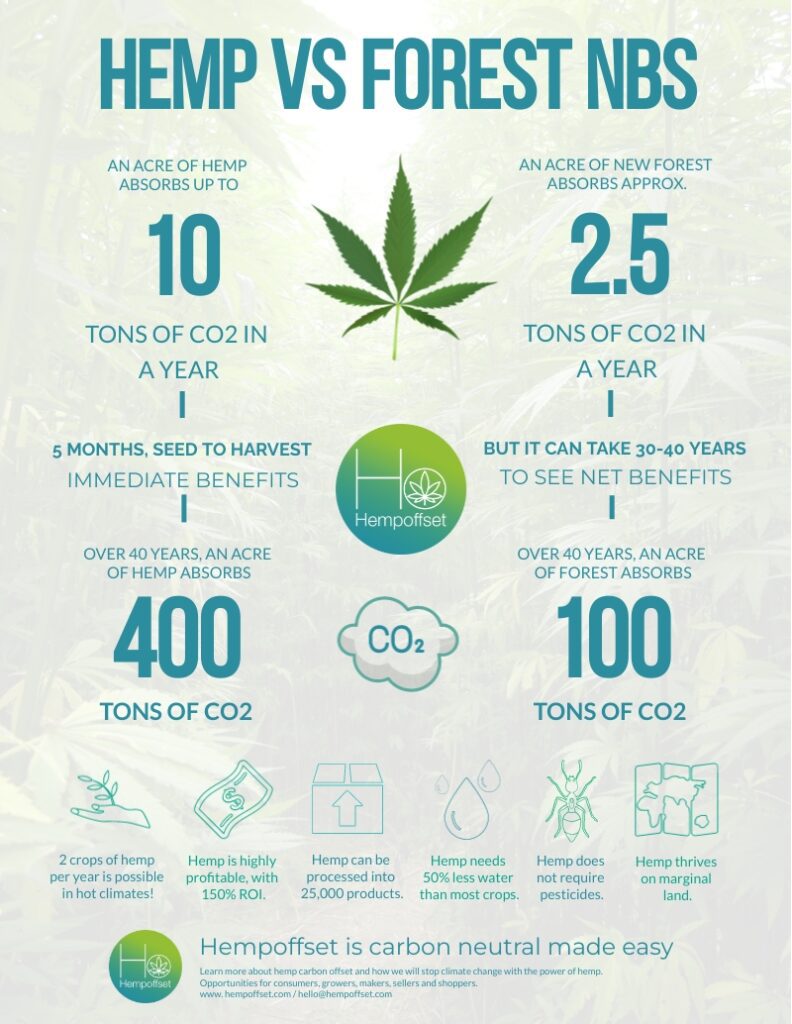 Did you know that #hemp can help combat climate change? 🌱 

Hemp absorbs more CO2 per hectare than any forest or commercial crop, making it a powerful ally in our fight against global warming 🤝🌍

#HempOffset #EcoFriendly #GreenFuture