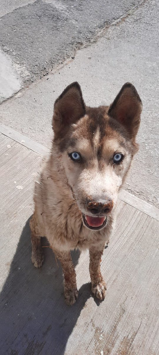 𝙷𝚎𝚕𝚊 𝙼𝚘𝚛𝚎 🐶 tweet media