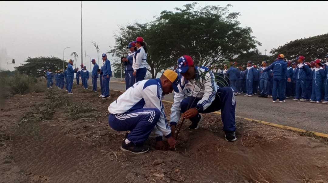 🗞️#Entérate| En el marco del 104° Aniversario la @AmabUmbv, su director el GB. José Freitas Gómez, junto a los cadetes y alféreces, realizaron la siembra de árboles ornamentales “Chaguaramos”, dando cumplimiento así, al 5to objetivo histórico del plan de la patria.
#FANB 
#9Abr