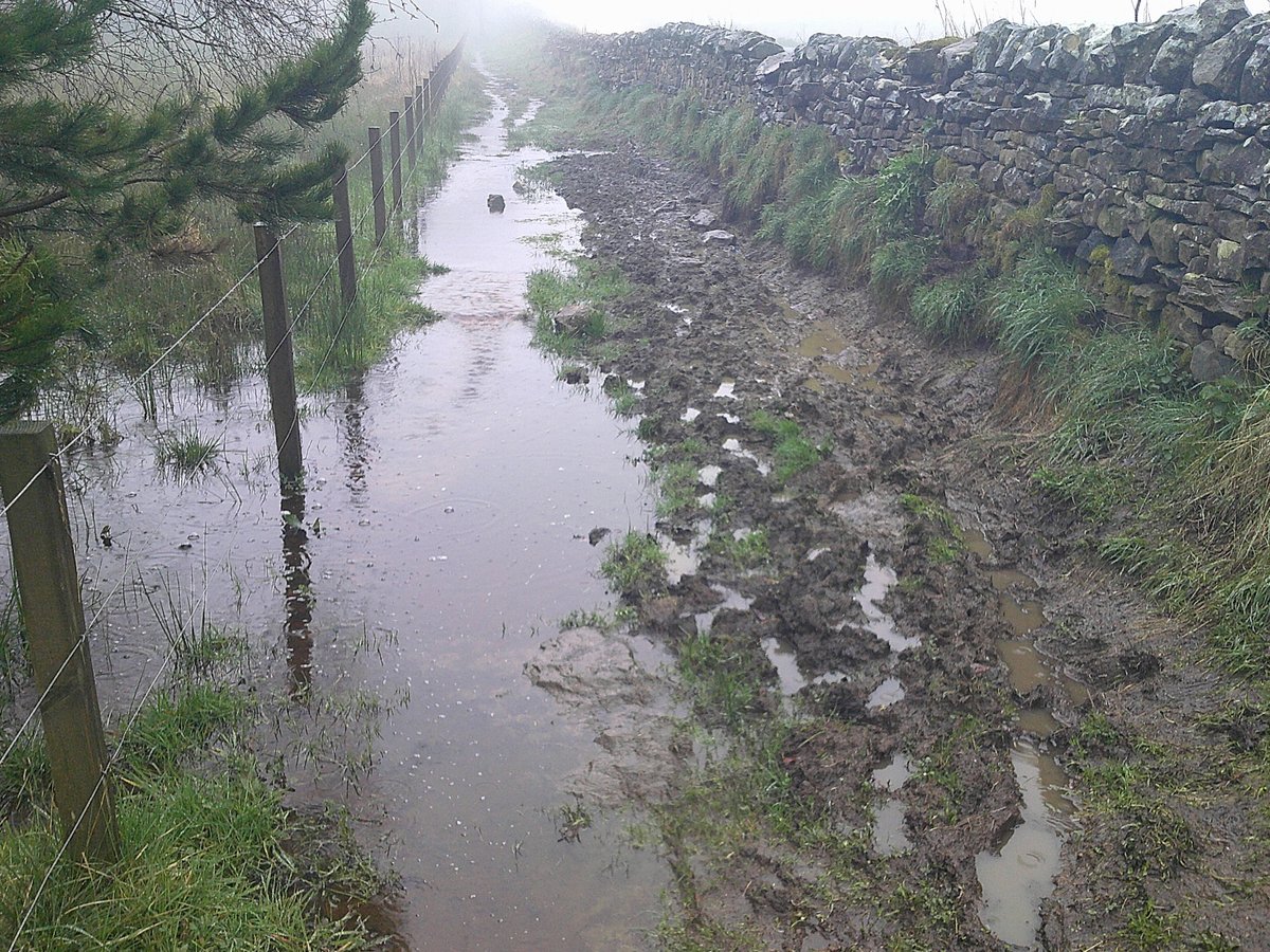 Looking west along the stone flagged section of Hadrian's Wall Path National Trail, Wall mile 23. Military Road Plantation.
1)  19/12/2023
2) 09/04/2024
Spot the difference