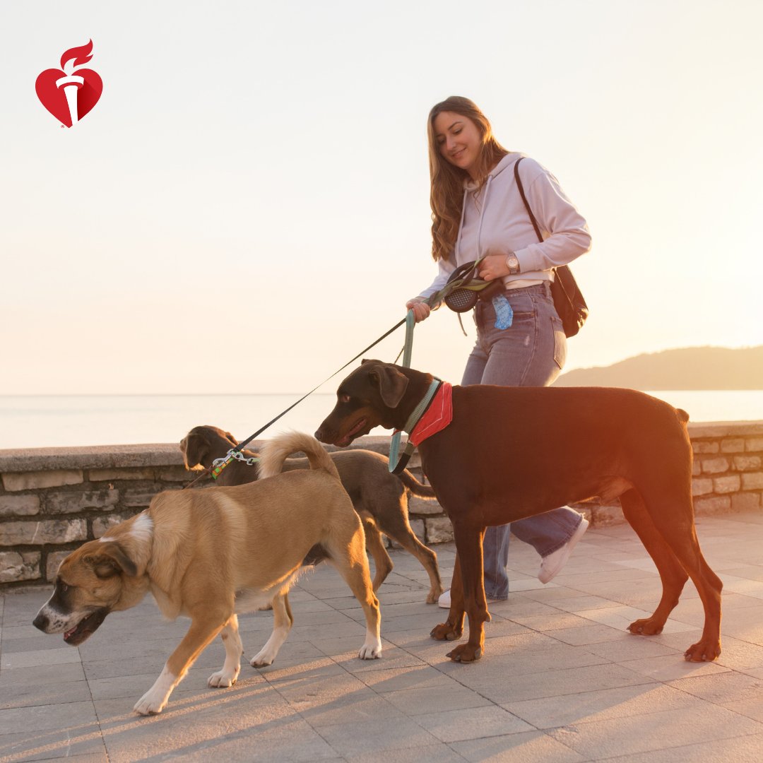 People who walk their dogs get significantly more exercise than those who don’t. Our pets can also help us feel less social anxiety and interact more with other humans. Socializing is good for your heart, too!