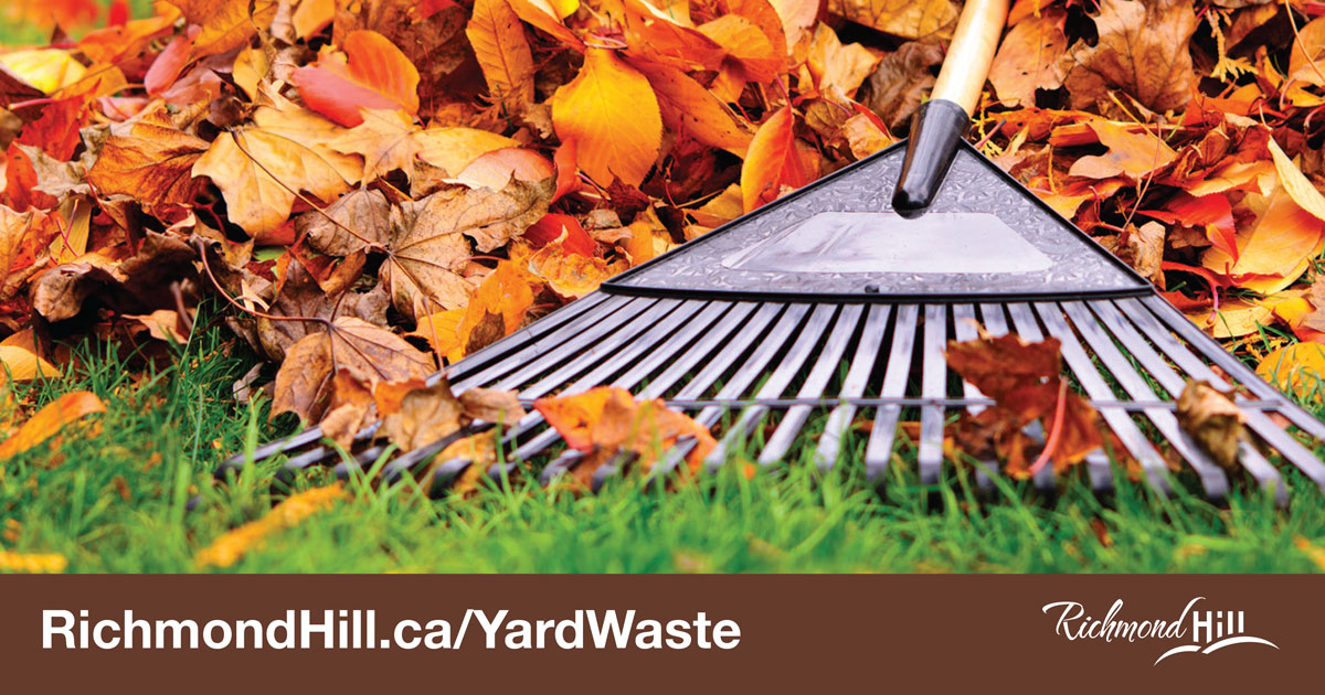 Yard waste collection begins the week of April 16 in the blue zone and April 23 in the yellow zone. Yard waste is collected bi-weekly on your garbage collection day. Visit RichmondHill.ca/YardWaste for guidelines or to see what zone you're in.