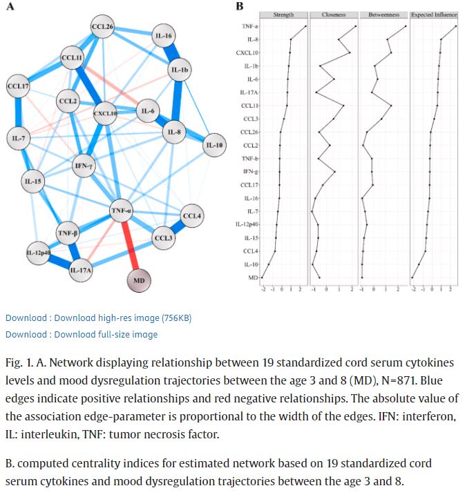 Through the use of biomarkers, the #RDoC framework can be a useful tool for studying fetal etiology. A new longitudinal study examines the association between cord serum cytokines & mood dysregulation trajectories during early childhood; doi.org/10.1016/j.bbih… @BBI_Health