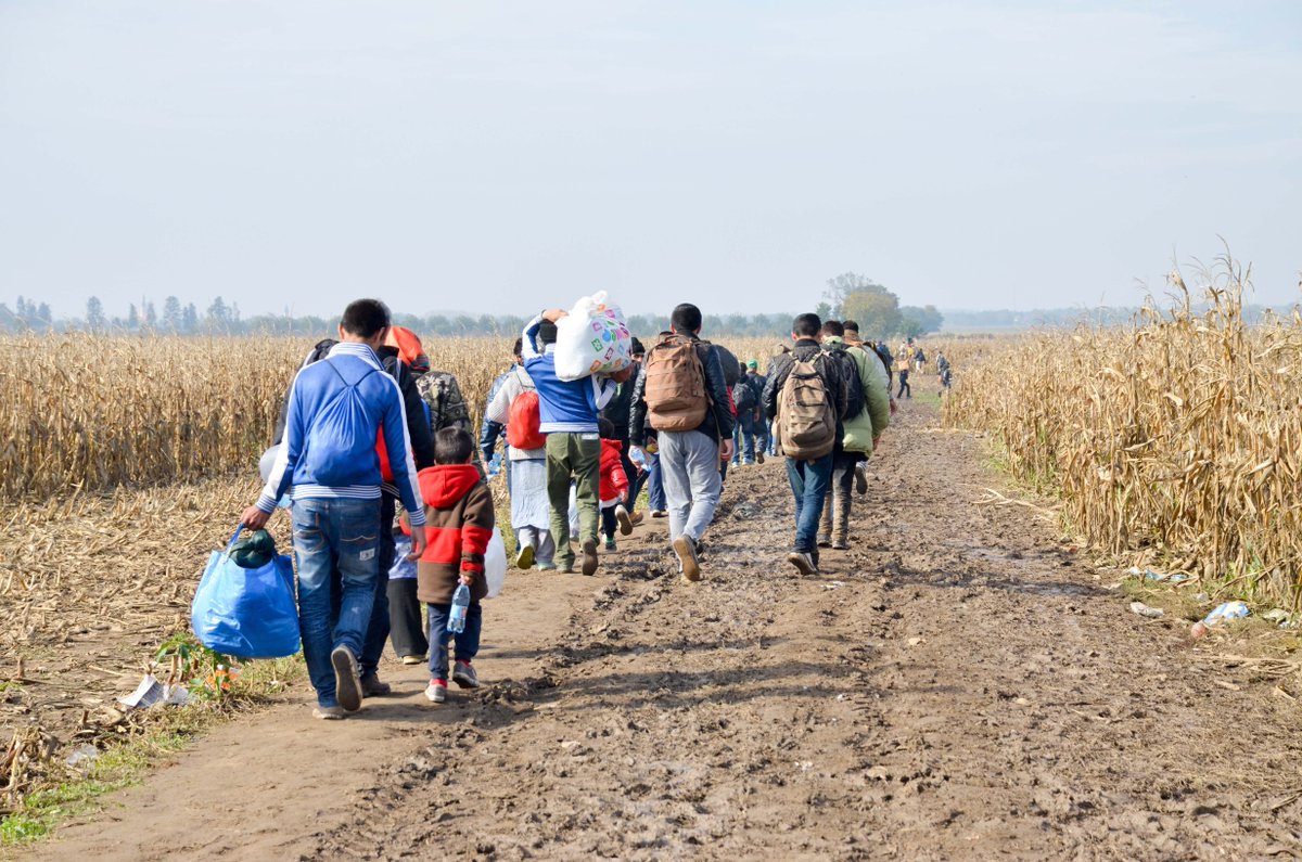 In a special edition of the journal Health Education Research, faculty from the @gsuprc explore the hidden public health challenges created by forced migration. Read more here: t.gsu.edu/3TYM7o2