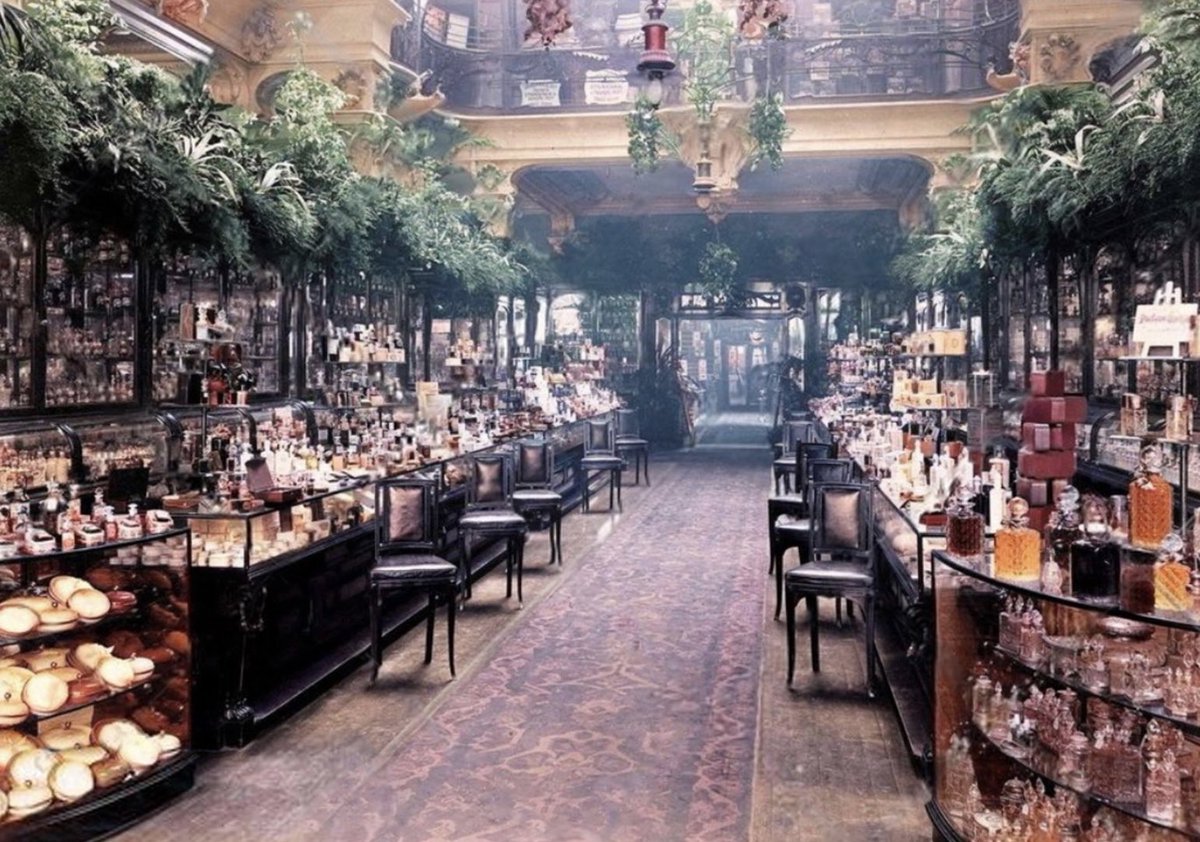 The beautiful and opulent early Edwardian perfumery salon, adorned with an abundance of ferns and plants, at Harrods department store, London, in 1903.